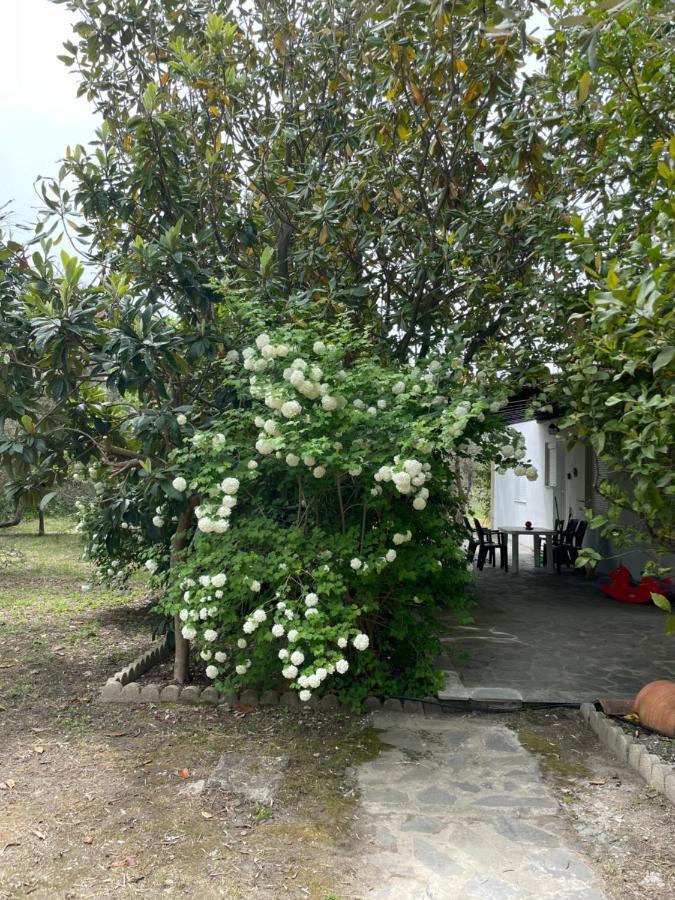 Irinis Cottage Кала-Нера Екстер'єр фото